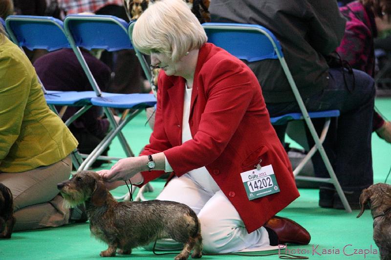 Crufts2011_2 1583.jpg